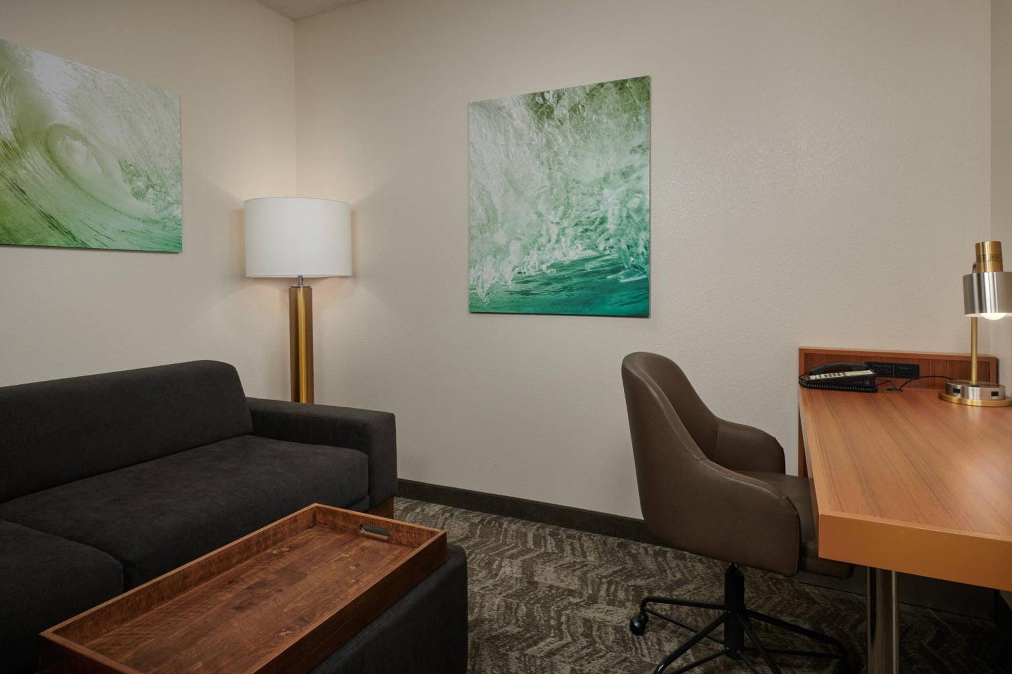 Springhill Suites By Marriott Baton Rouge North / Airport Ngoại thất bức ảnh